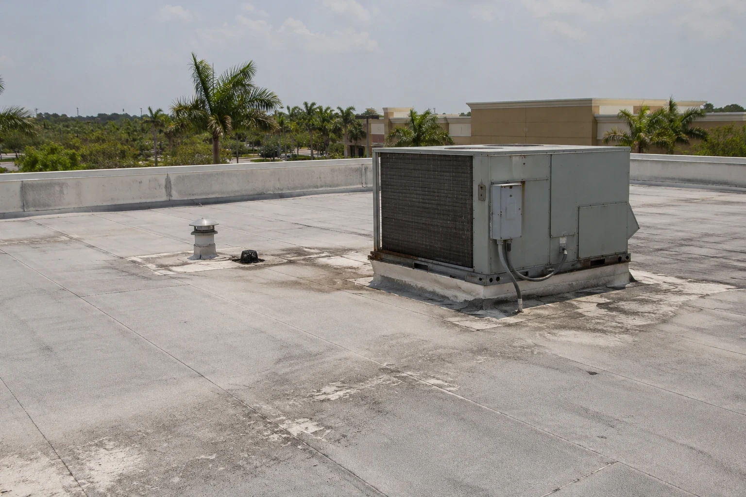 Design-Assist Contractor and Build Services