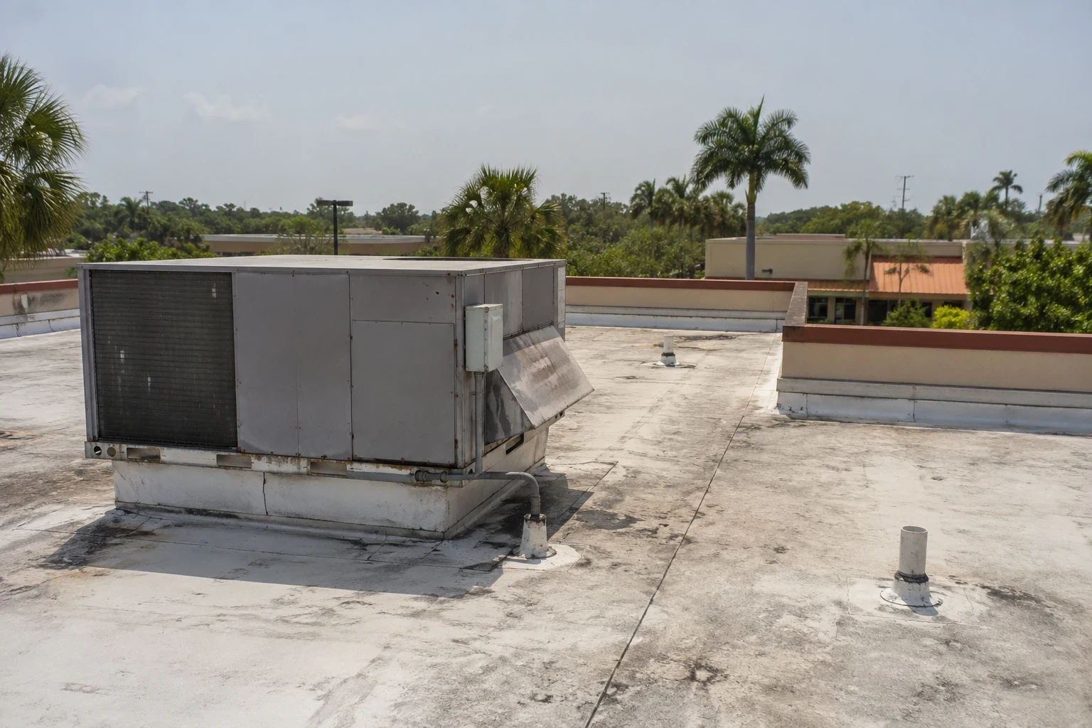 Design-Assist Contractor and Build Services